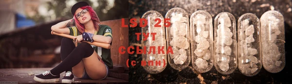 гидра Зеленодольск