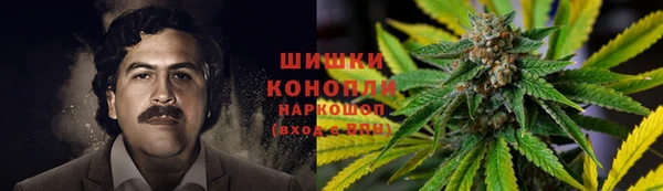 гидра Зеленодольск