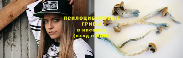 гидра Зеленодольск