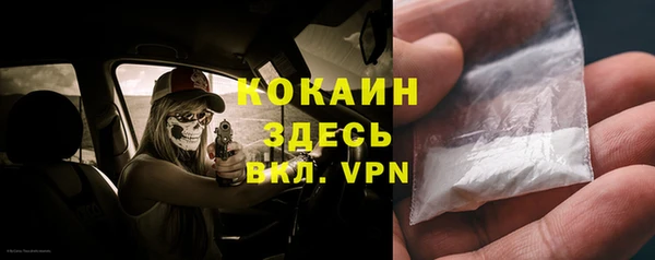 гидра Зеленодольск