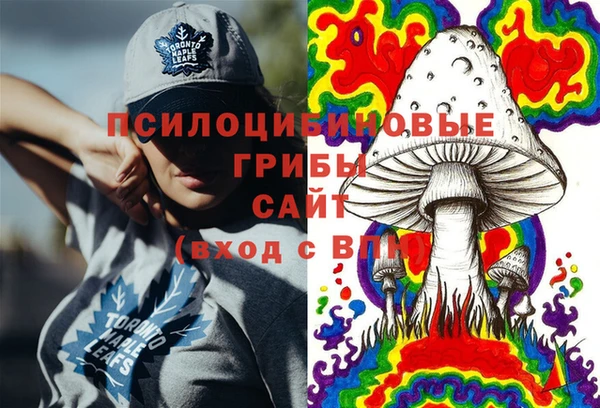 гидра Зеленодольск